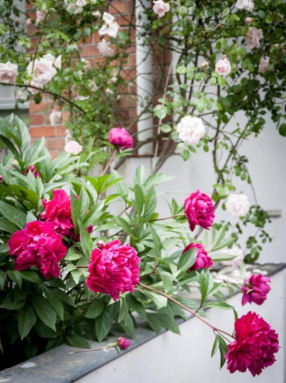 B&B Moensberg Linkebeek エクステリア 写真