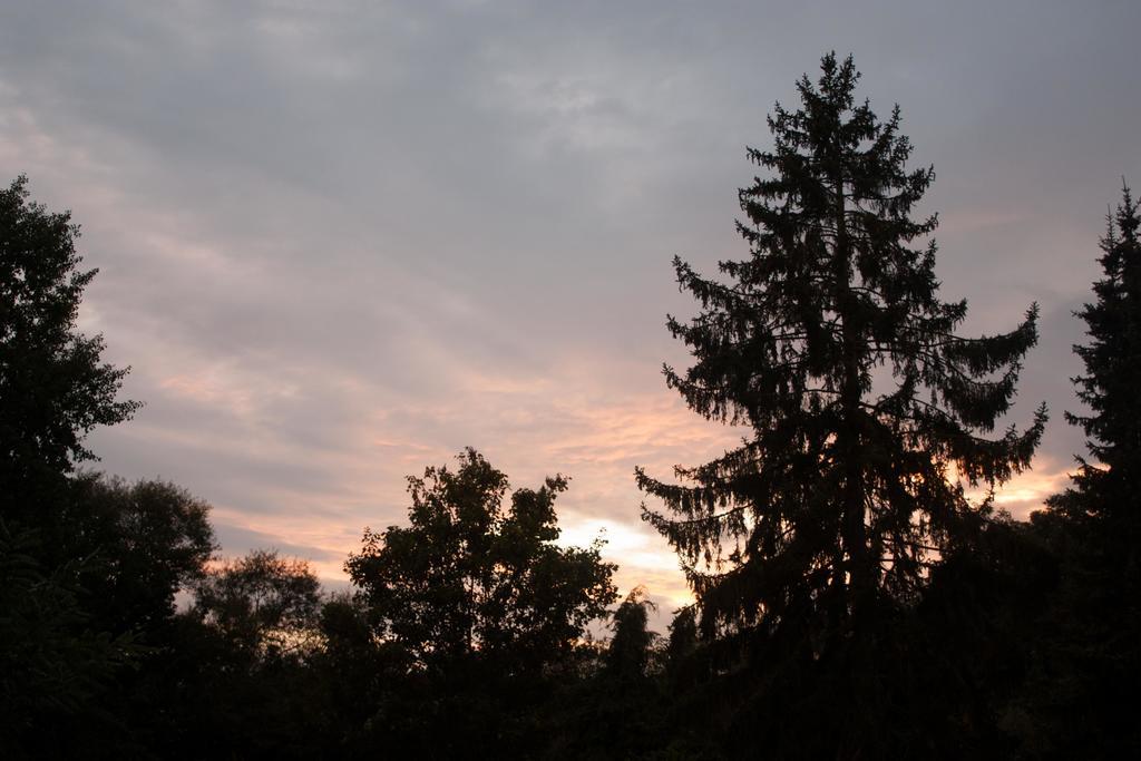 B&B Moensberg Linkebeek エクステリア 写真